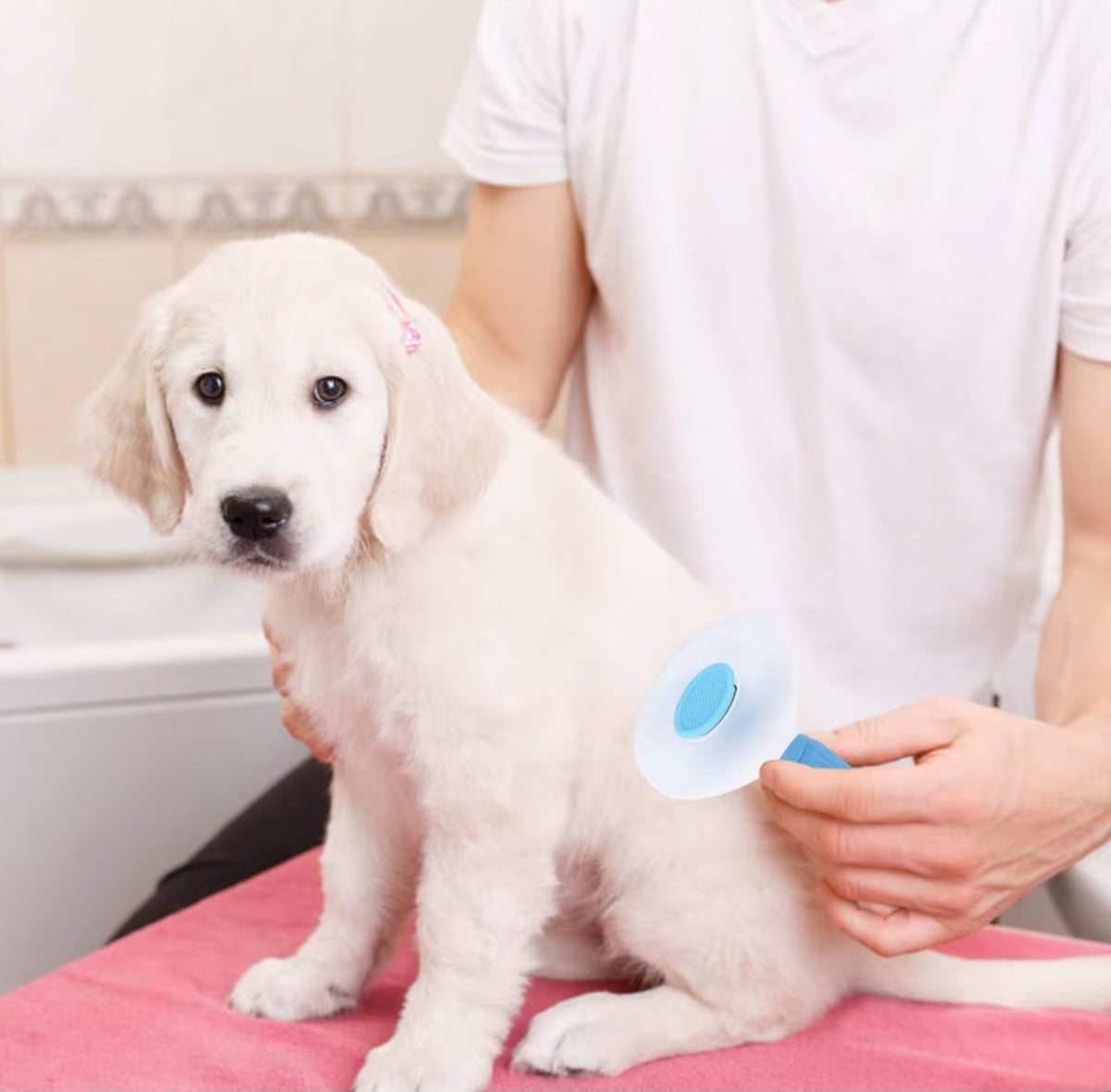 Cepillo Removedor de Pelo para Mascotas